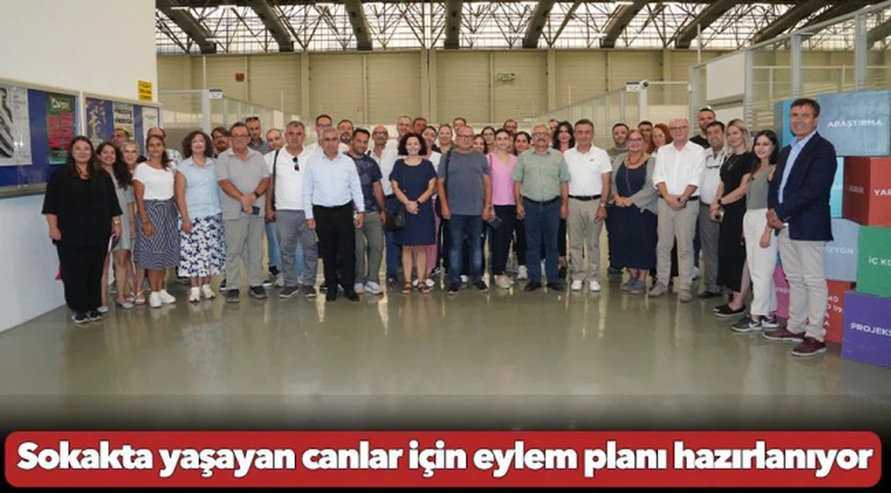Sokakta yaşayan canlar için eylem planı hazırlanıyor