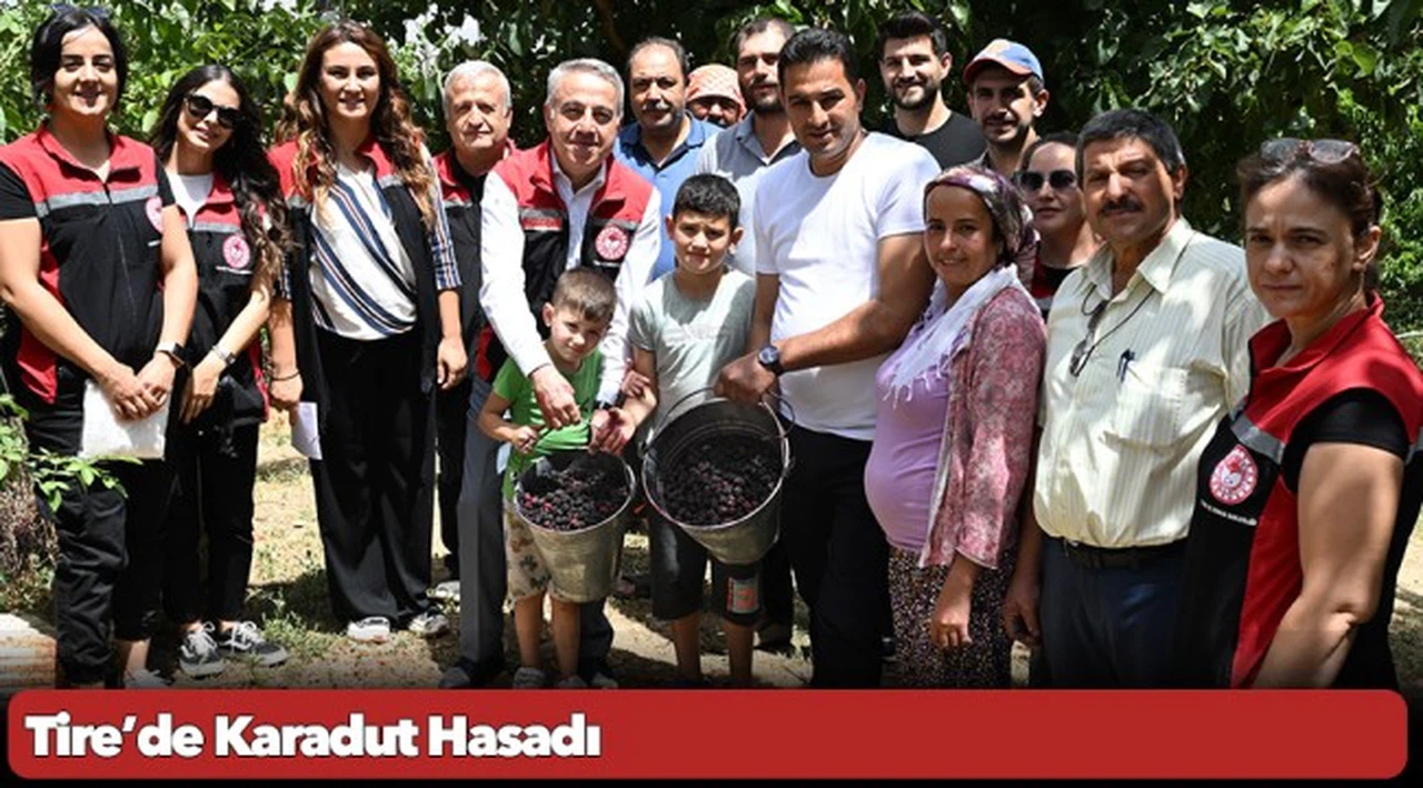 Tire’de Karadut Hasadı