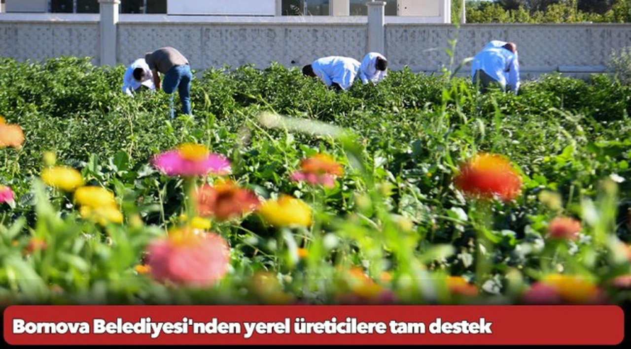 Bornova Belediyesi'nden yerel üreticilere tam destek