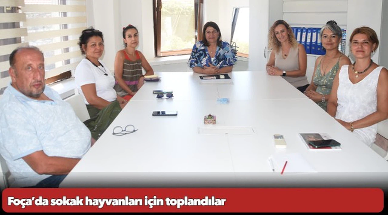 Foça’da sokak hayvanları için toplandılar
