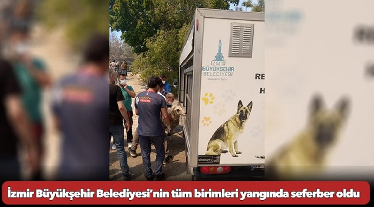 İzmir Büyükşehir Belediyesi’nin tüm birimleri yangında seferber oldu