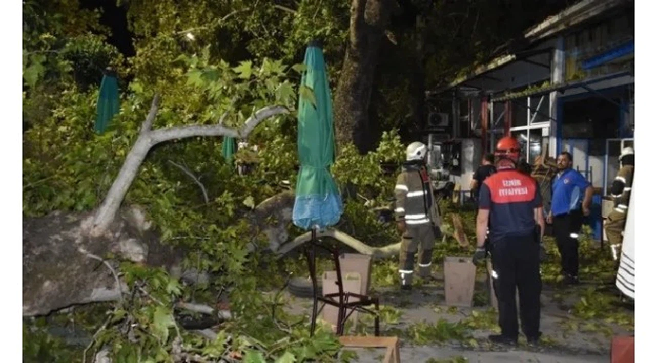 İzmir'de 9 kişi kırılan ağaç dallarının üzerlerine düşmesi sonucu yaralandı
