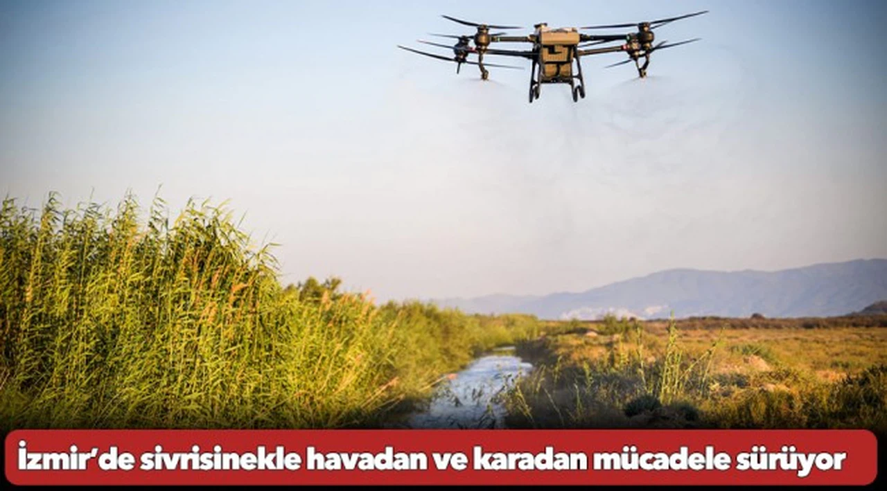 İzmir’de sivrisinekle havadan ve karadan mücadele sürüyor