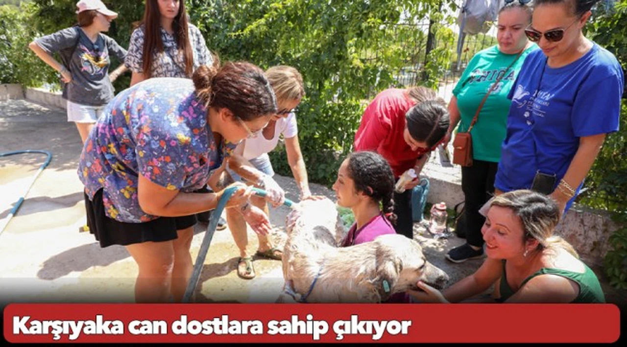 Karşıyaka can dostlara sahip çıkıyor