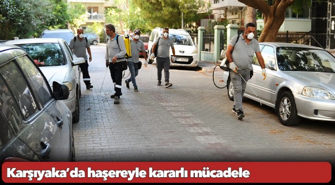 Karşıyaka’da haşereyle kararlı mücadele
