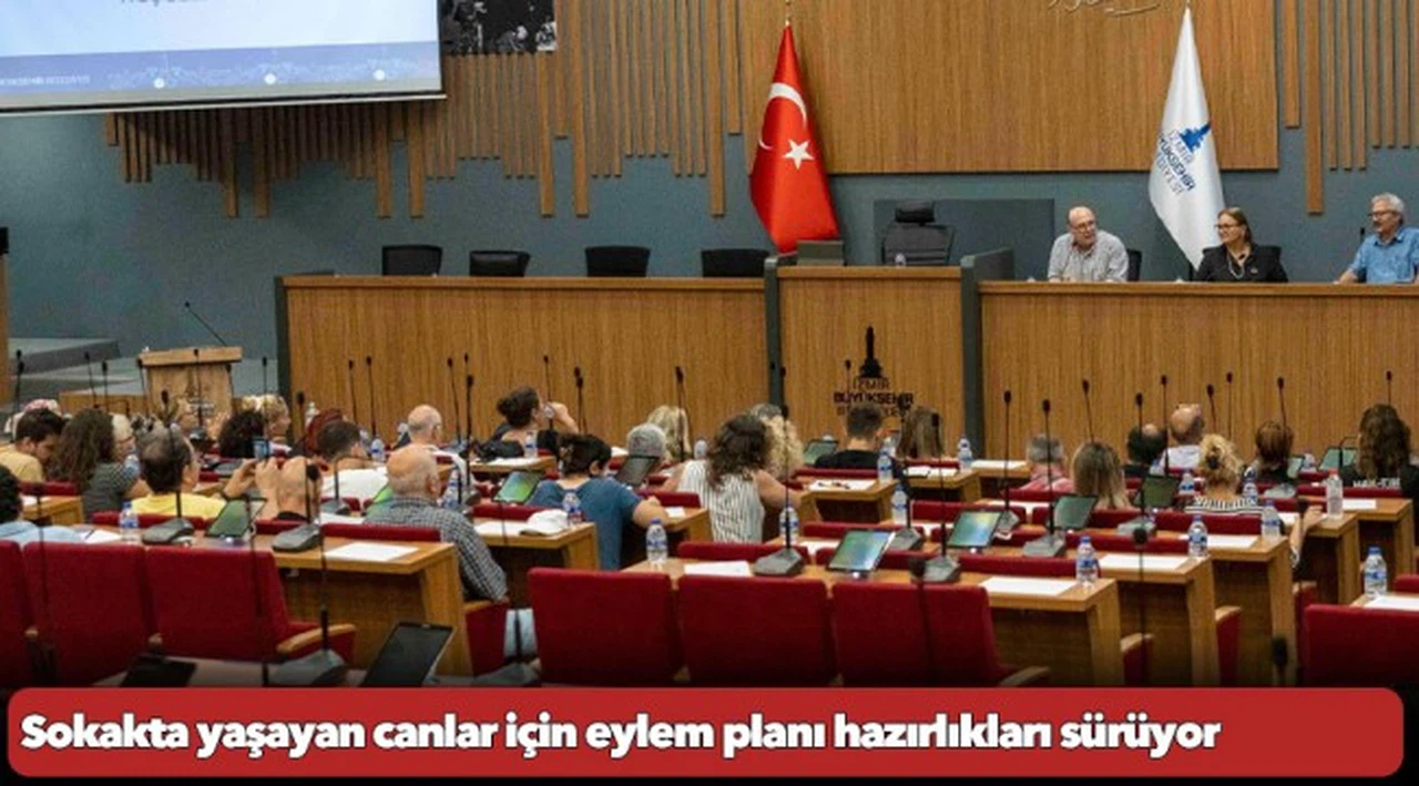 Sokakta yaşayan canlar için eylem planı hazırlıkları sürüyor