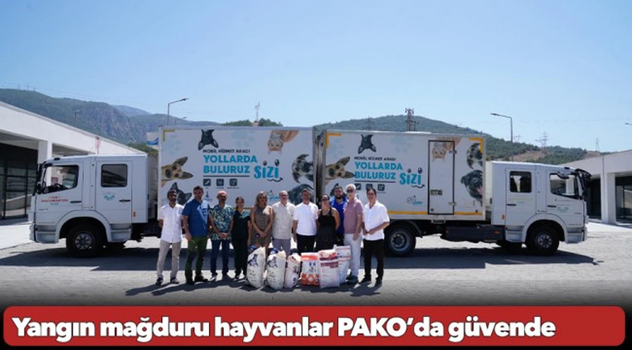 Yangın mağduru hayvanlar PAKO’da güvende