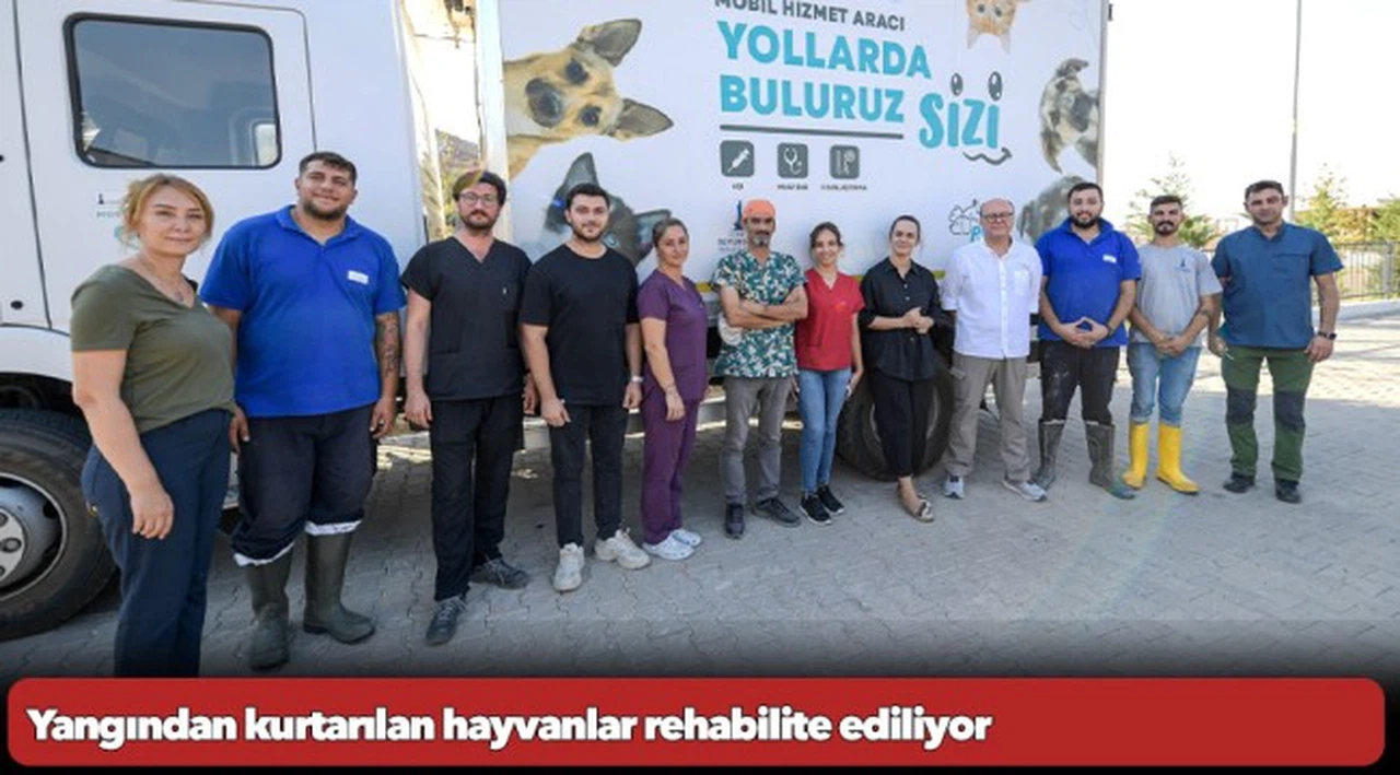 Yangından kurtarılan hayvanlar rehabilite ediliyor