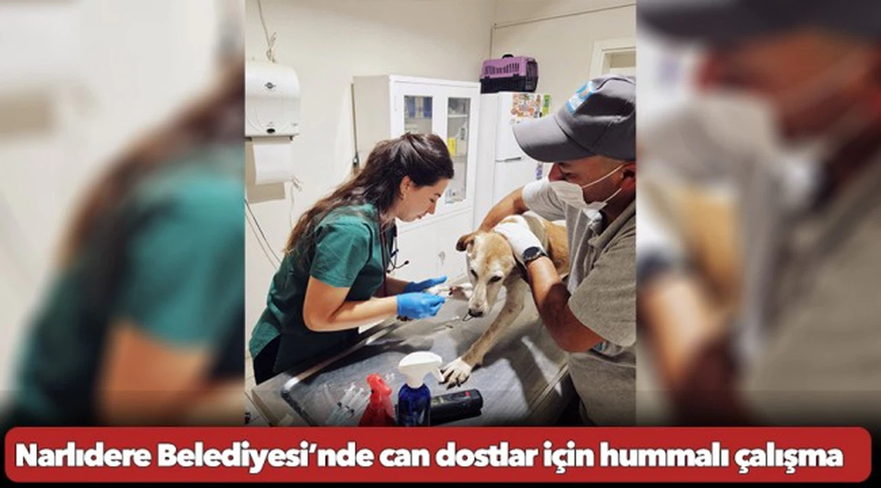 4. İzmir Uluslararası Film ve Müzik Festivali 30 Ekim’de başlıyor