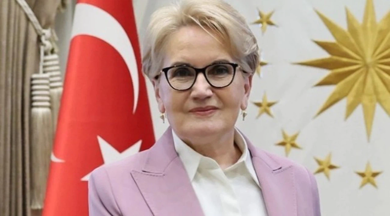 Meral Akşener'den Selçuk Özdağ'ın iddialarına manidar retweet!