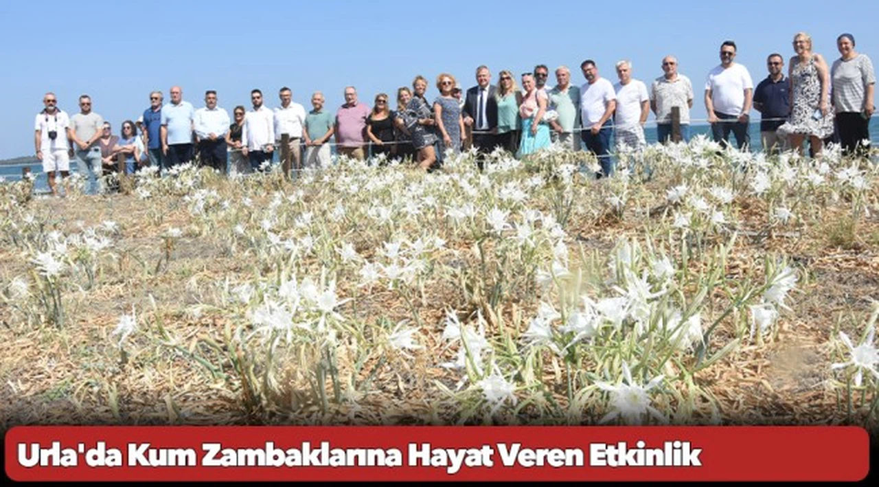 Urla'da Kum Zambaklarına Hayat Veren Etkinlik