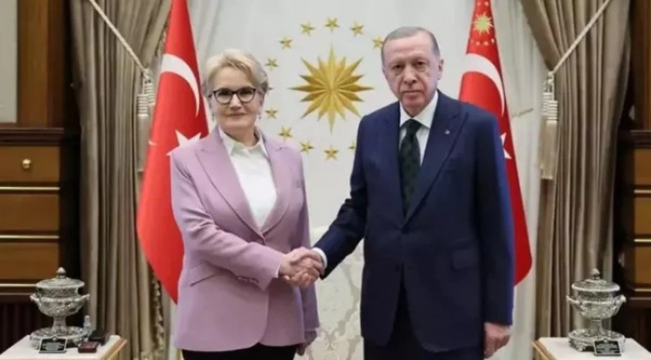 Cumhurbaşkanı Erdoğan, Meral Akşener'e açtığı tüm davaları geri çekti