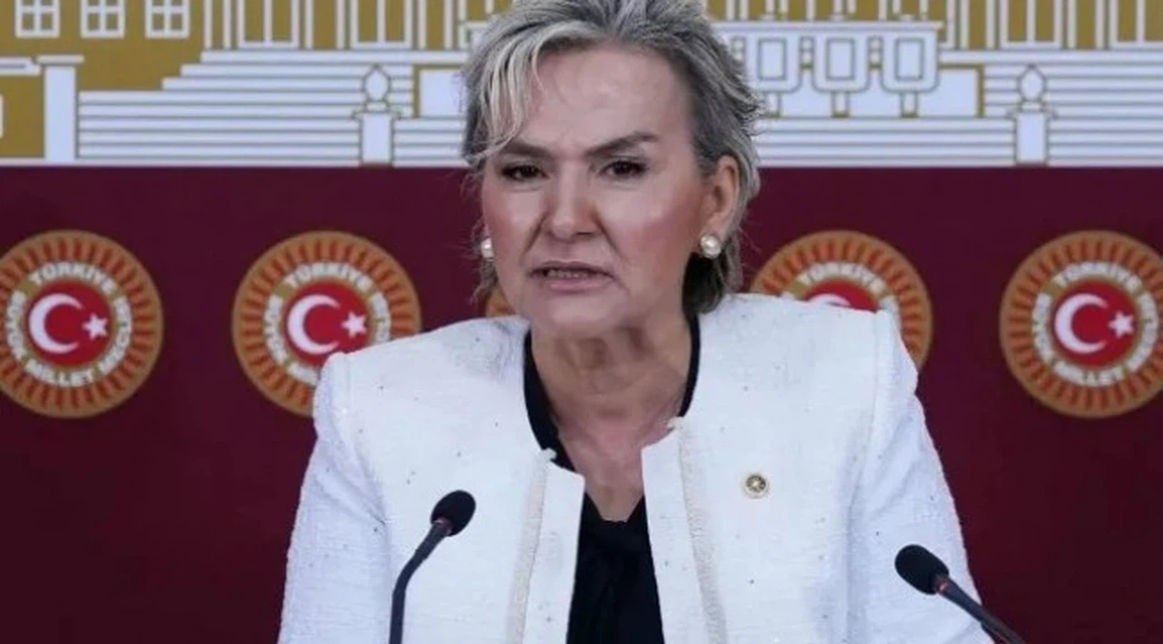 Eski İYİ Partili Nimet Özdemir CHP'ye katılıyor