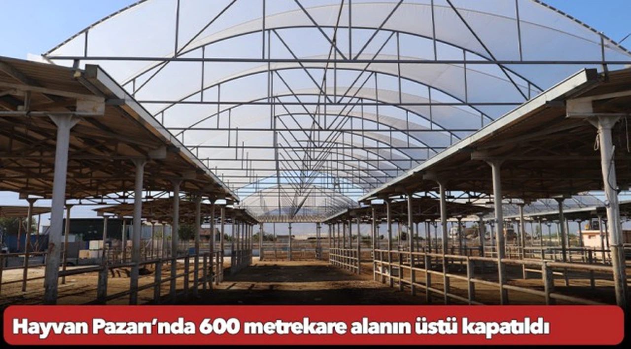 Hayvan Pazarı’nda 600 metrekare alanın üstü kapatıldı