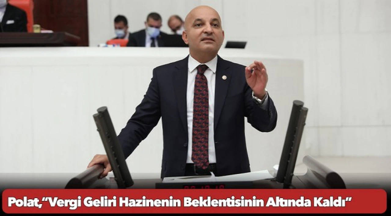Polat,“Vergi Geliri Hazinenin Beklentisinin Altında Kaldı”