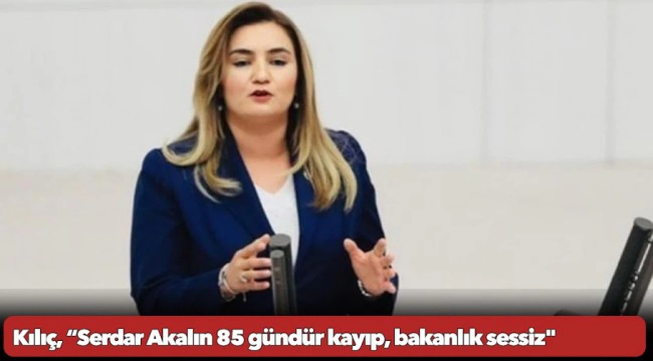 Kılıç, “Serdar Akalın 85 gündür kayıp, bakanlık sessiz"