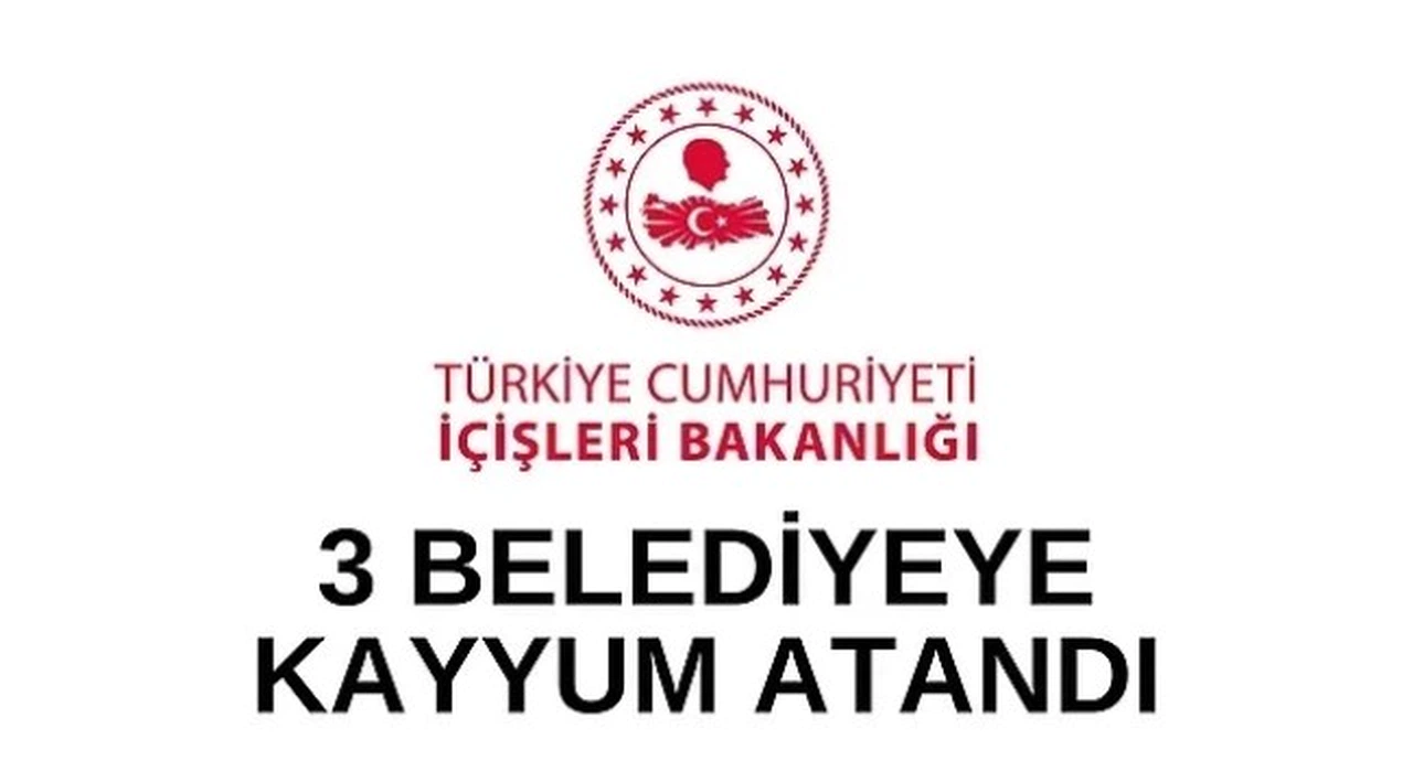 Son dakika haberi: Mardin, Batman ve Halfeti'ye kayyum atandı