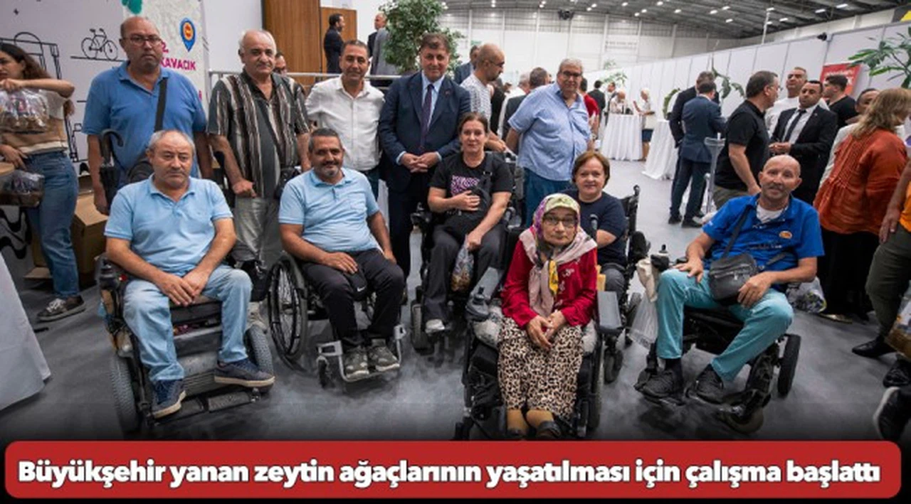 Büyükşehir yanan zeytin ağaçlarının yaşatılması için çalışma başlattı