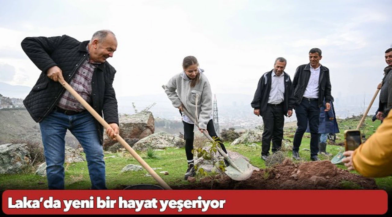 Laka’da yeni bir hayat yeşeriyor