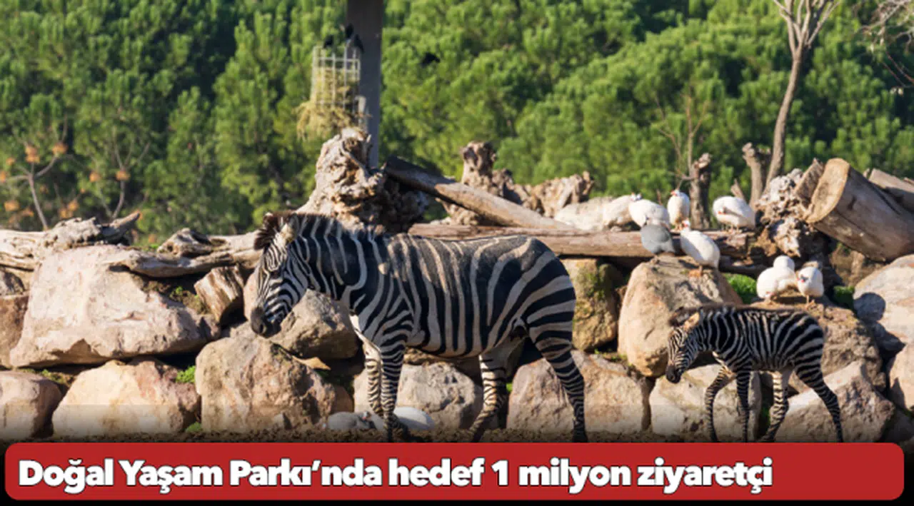 Doğal Yaşam Parkı’nda hedef 1 milyon ziyaretçi