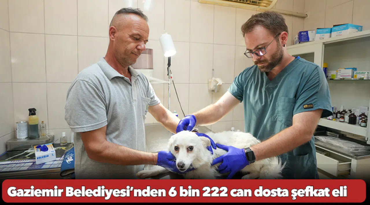 Gaziemir Belediyesi’nden 6 bin 222 can dosta şefkat eli