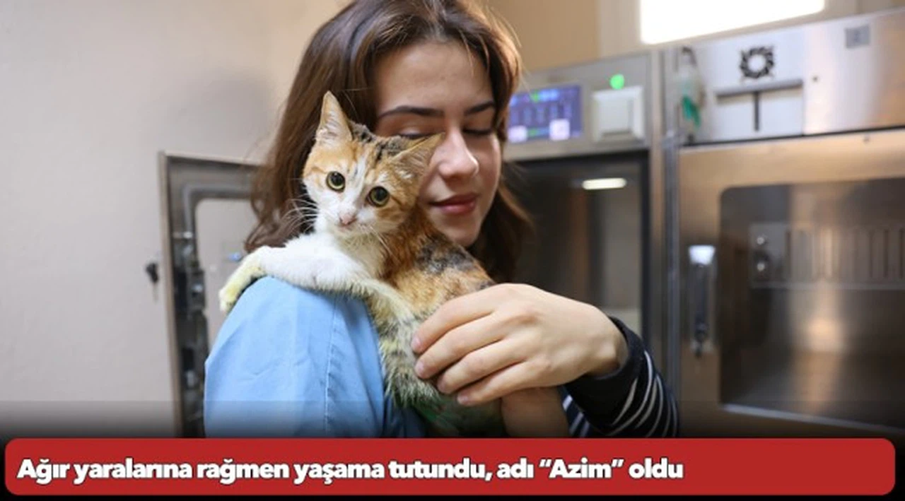 Ağır yaralarına rağmen yaşama tutundu, adı “Azim” oldu