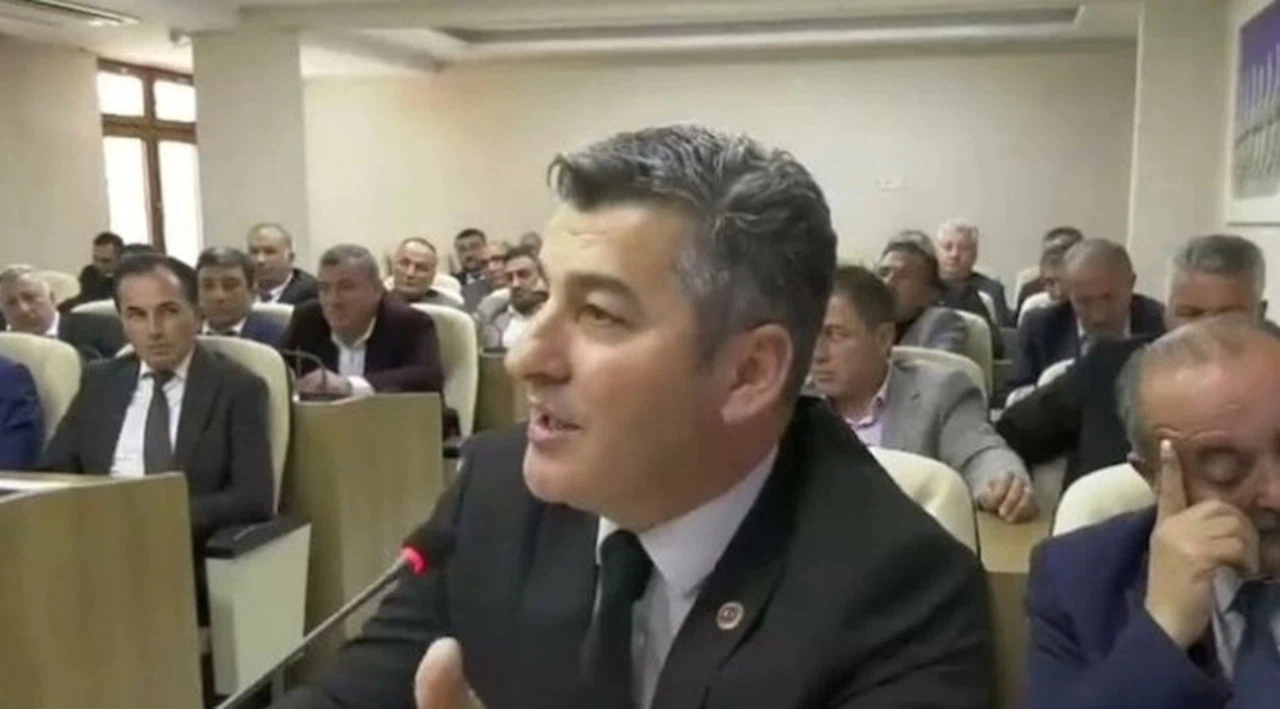 MHP'de 'Sayın Öcalan' istifası