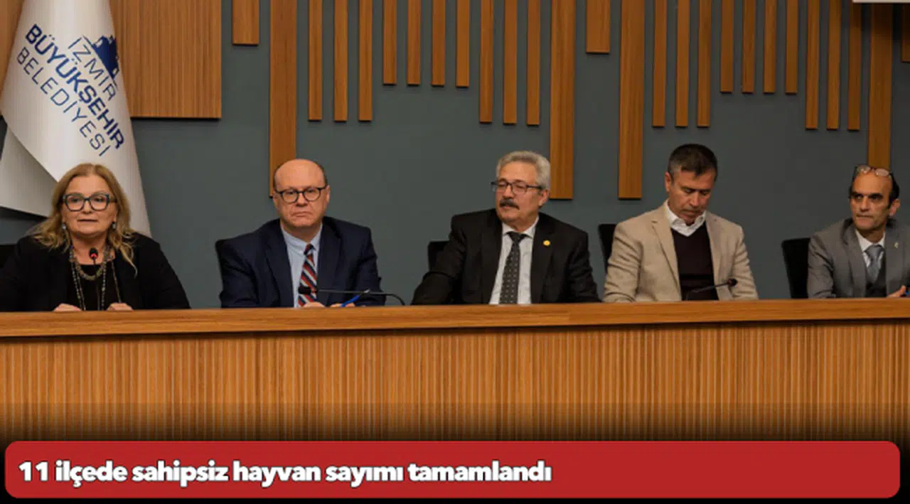 11 ilçede sahipsiz hayvan sayımı tamamlandı
