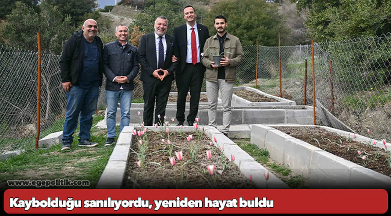 Bornova Lalesi 30 yıl sonra yeniden çiçek açtı