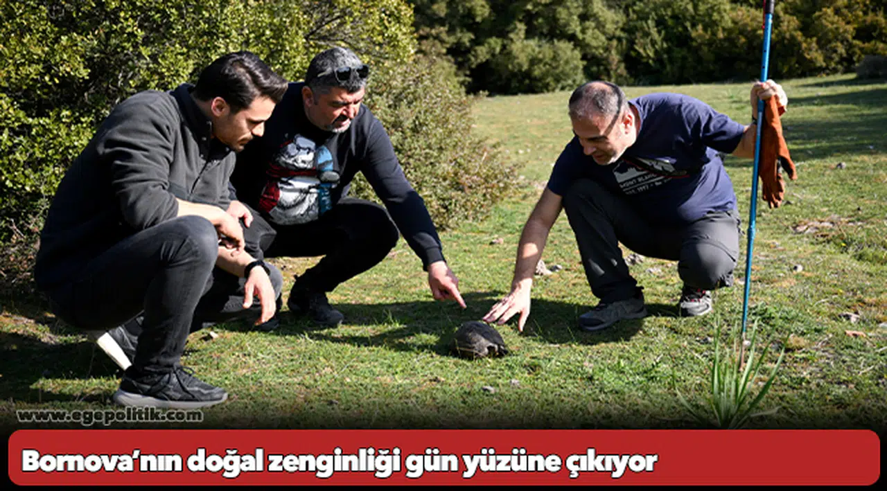 Bornova’nın doğal zenginliği gün yüzüne çıkıyor