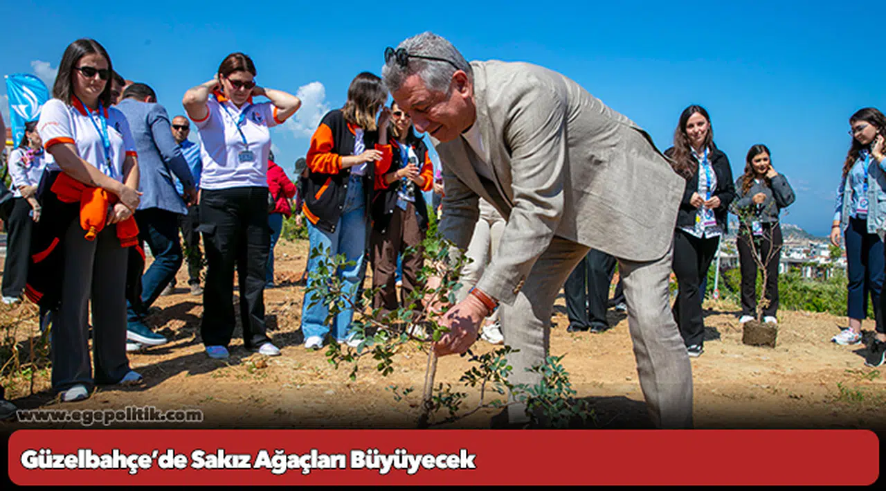 Güzelbahçe’de Sakız Ağaçları Büyüyecek