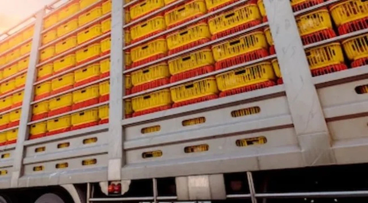 Yasak kalktı, zehirli limonlar Türkiye'ye iade edildi