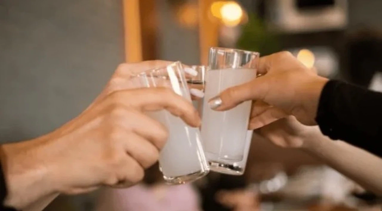 Bir rakı grubuna daha zam