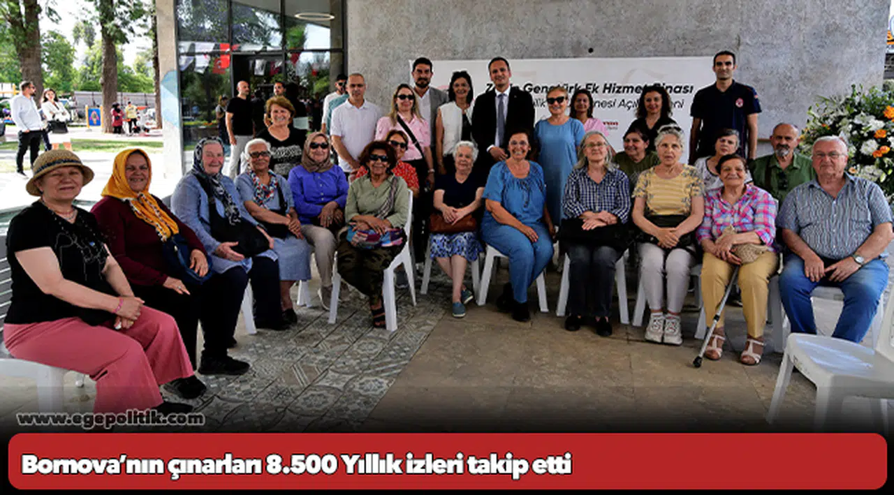 Bornova’nın çınarları 8.500 Yıllık izleri takip etti