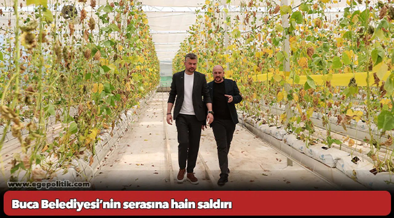 Buca Belediyesi’nin serasına hain saldırı