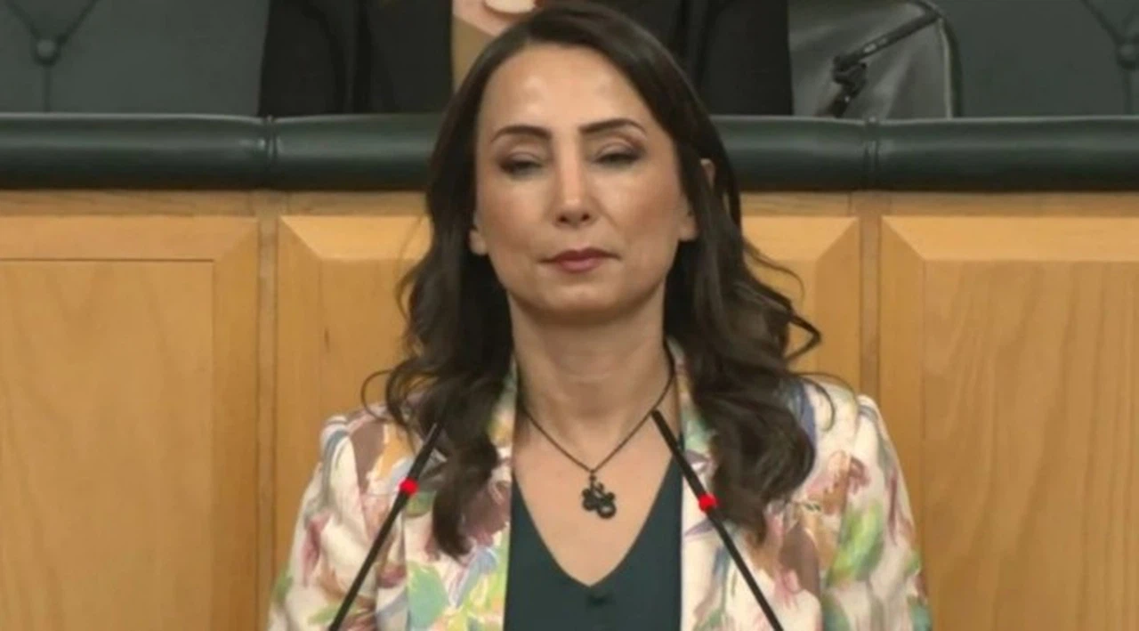DEM Parti'den 4.dalga İBB operasyonlarına tepki