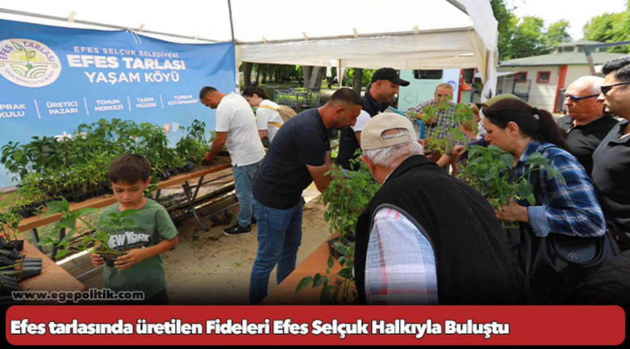 Efes Tarlası Yaşam Köyü’nün Yerel Tohumlardan Üretilen Fideleri Efes Selçuk Halkıyla Buluştu
