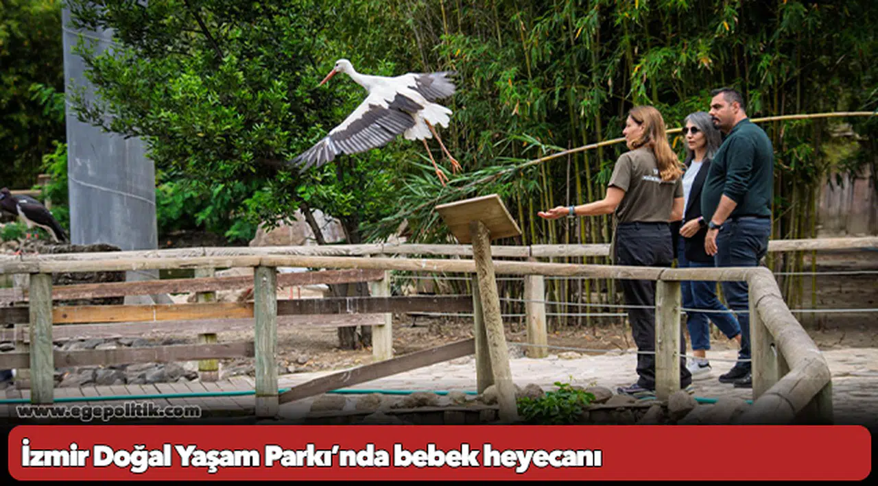 İzmir Doğal Yaşam Parkı’nda bebek heyecanı