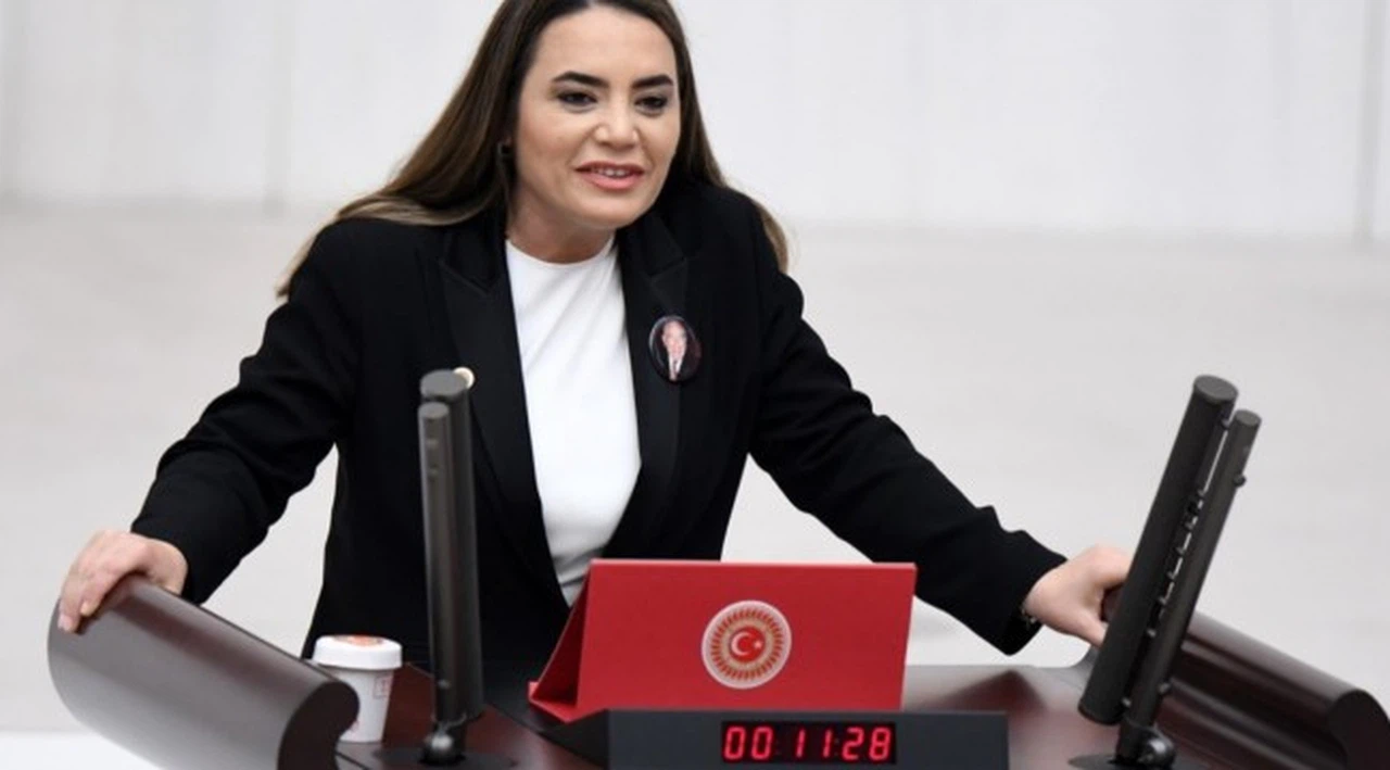 Bahçeli Öcalan'a bir kez daha 'Kurucu önder' dedi: İlk tepki Alparslan Türkeş'in kızından geldi