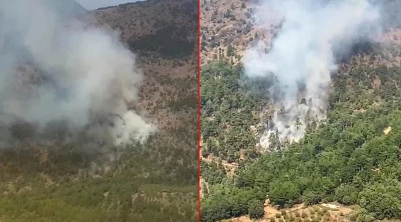İzmir'de orman yangını! Havadan ve karadan müdahale ediliyor