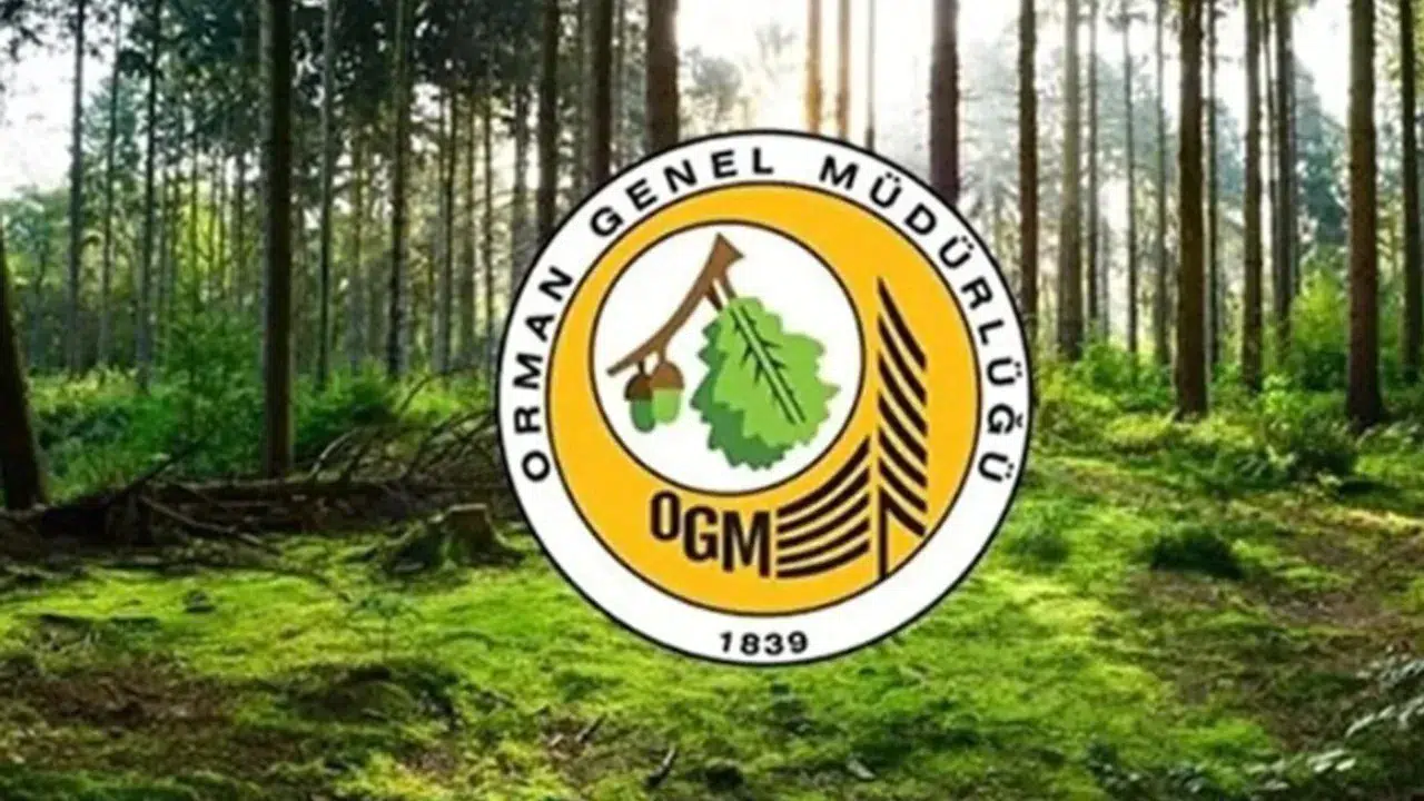 Orman Genel Müdürlüğü'nden Bilecik ve Bolu'daki yangınlarla ilgili açıklama