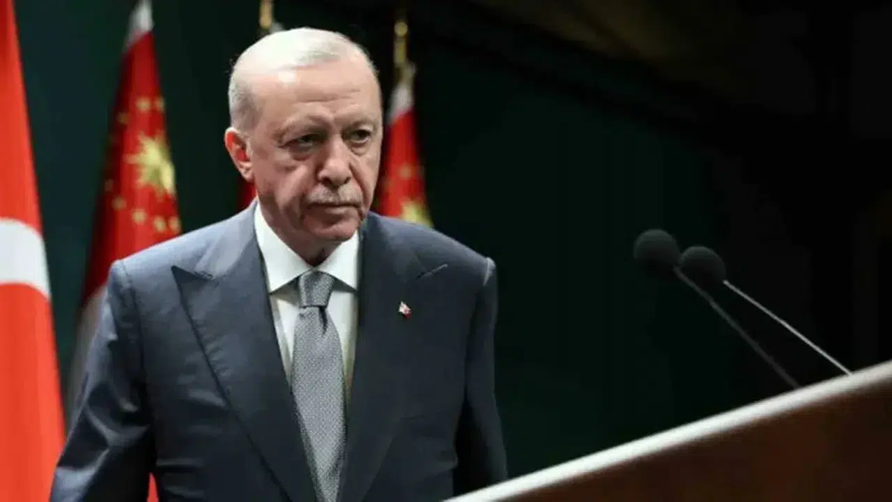 Erdoğan'dan orman yangınları açıklaması: 'Gece gündüz teyakkuz hâlindeyiz'