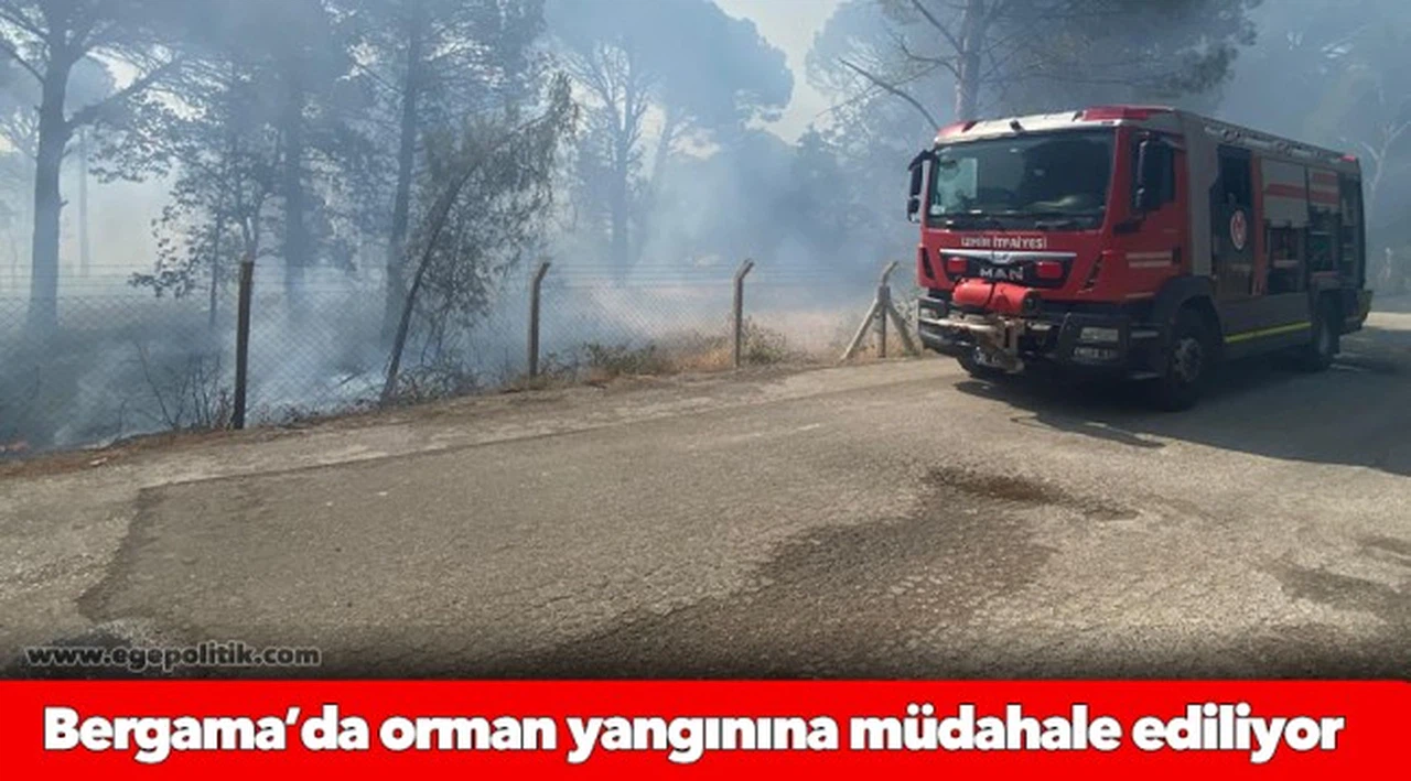 Bergama’da orman yangınına müdahale ediliyor
