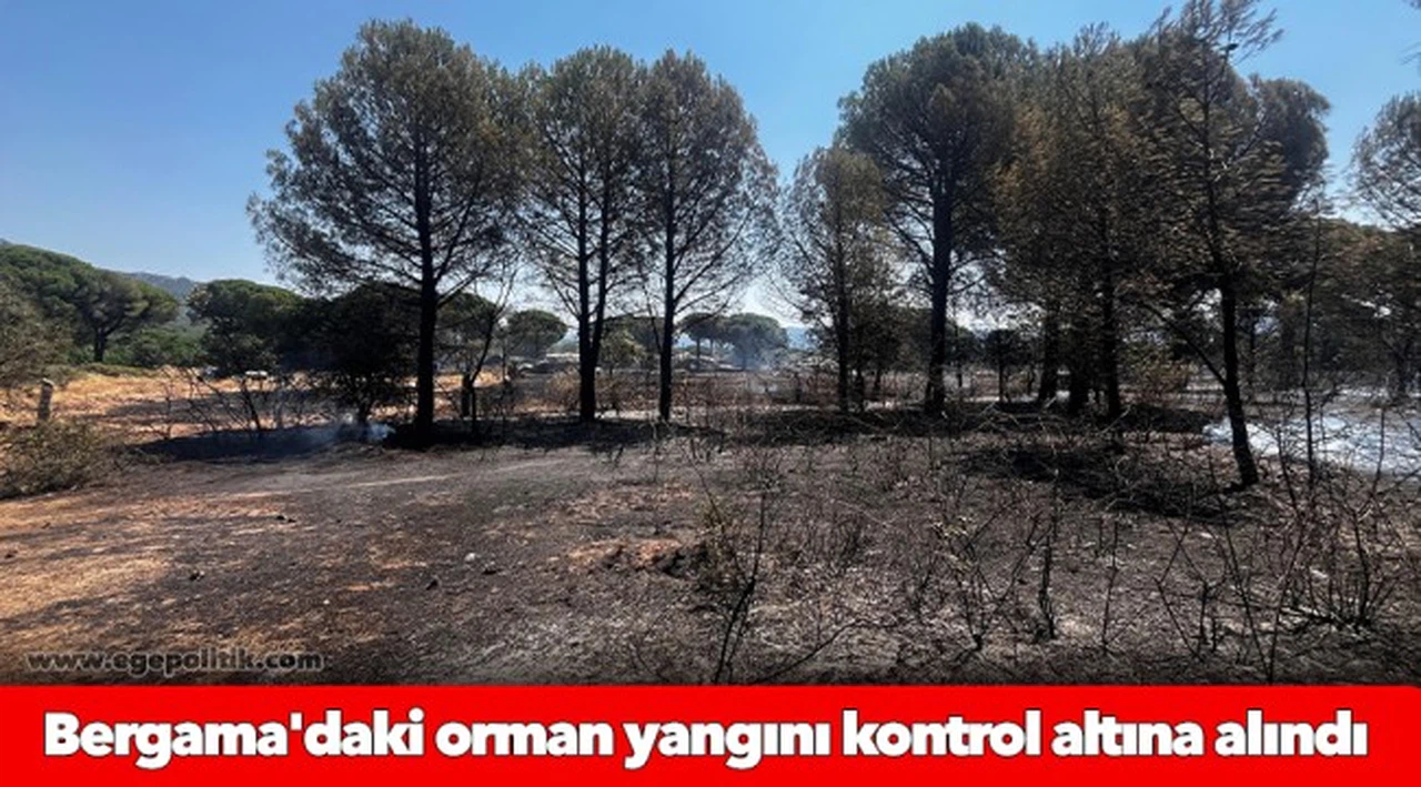 Bergama'daki orman yangını kontrol altına alındı