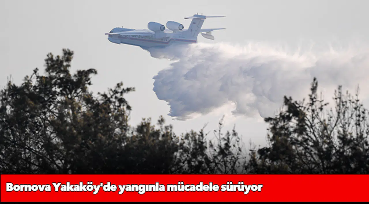 Bornova Yakaköy'de yangınla mücadele sürüyor