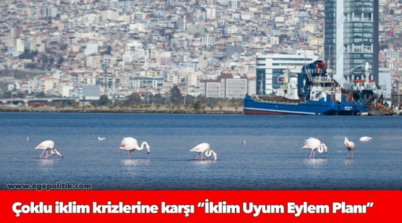 Çoklu iklim krizlerine karşı “İklim Uyum Eylem Planı”   