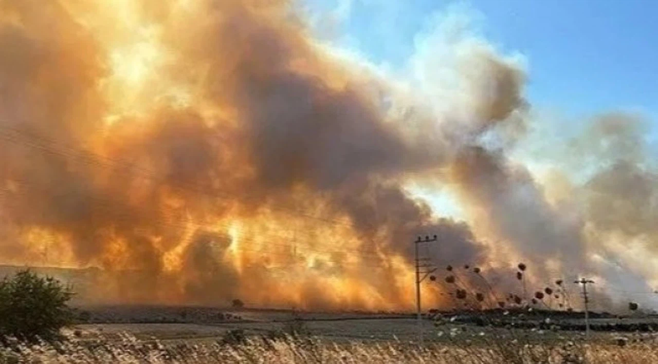Gaziemir'de Orman Yangını: 2 Şüpheli Gözaltında