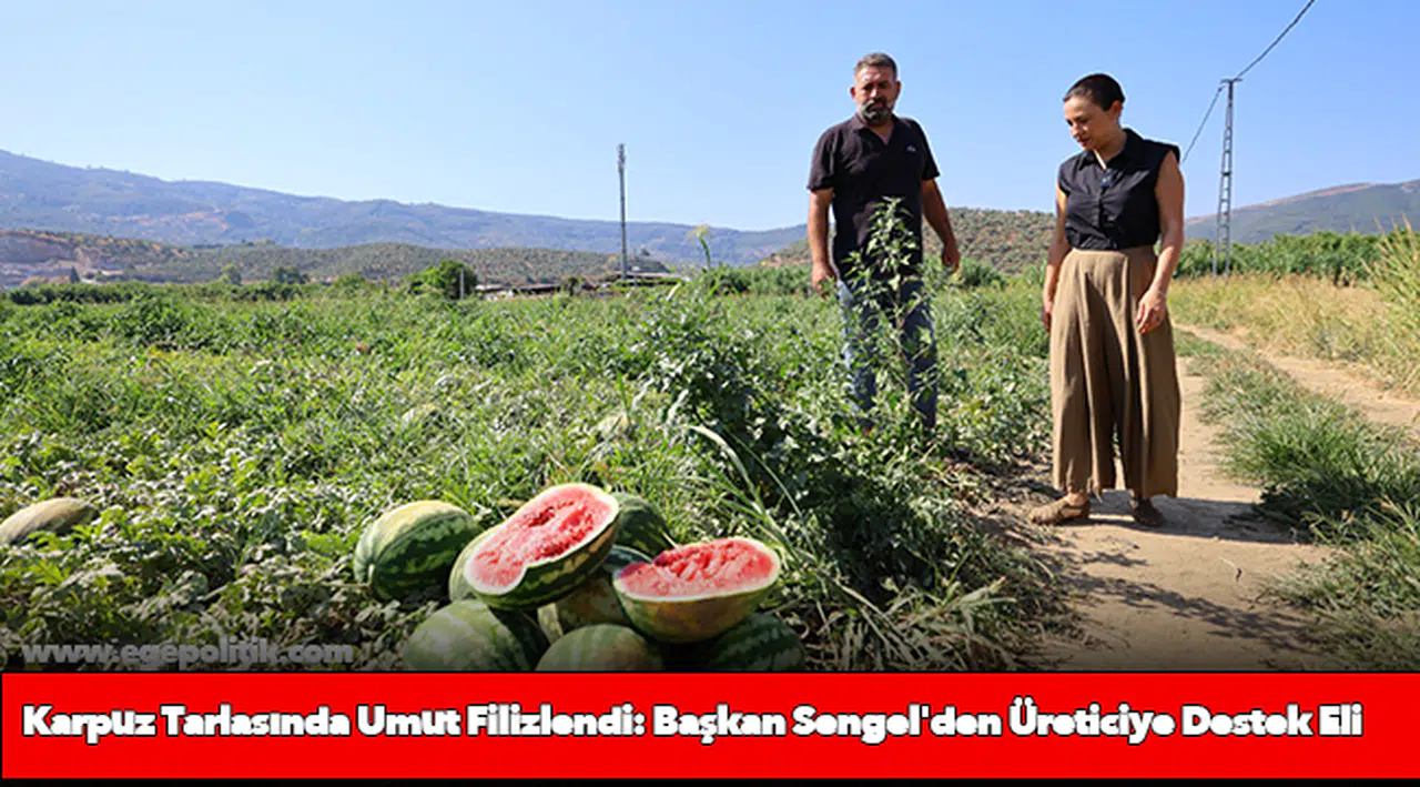 Karpuz Tarlasında Umut Filizlendi: Başkan Sengel'den Üreticiye Destek Eli