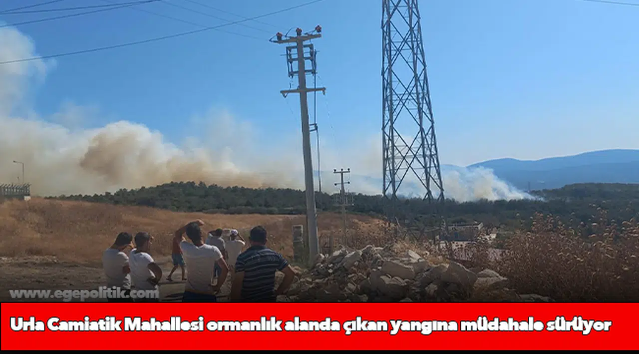 Urla Camiatik Mahallesi ormanlık alanda çıkan yangına müdahale sürüyor