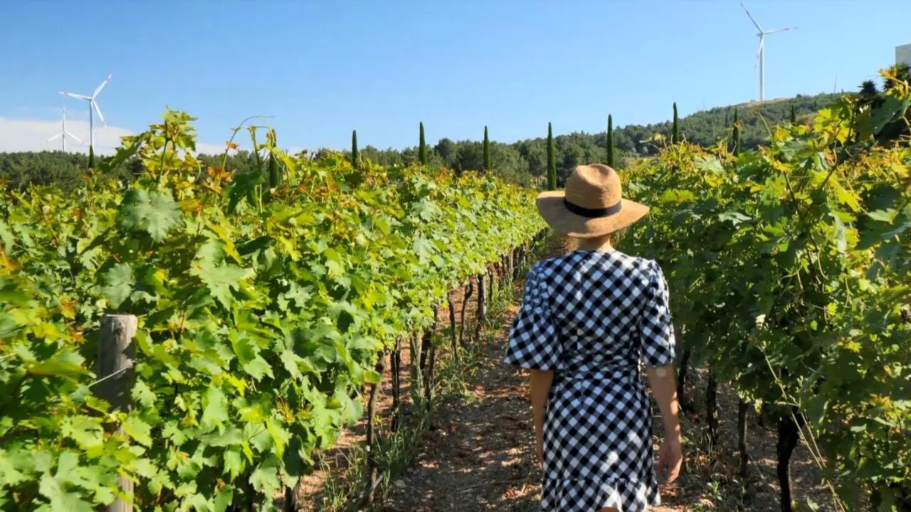 İzmir bağcılık mirasını koruyan Iter Vitis Rotası’na katıldı